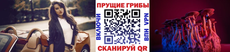 Псилоцибиновые грибы Psilocybine cubensis  купить  сайты  Орёл 