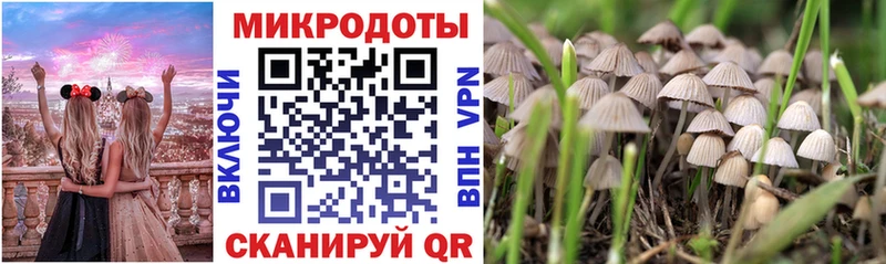 Галлюциногенные грибы Cubensis Орёл